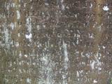 image of grave number 174408